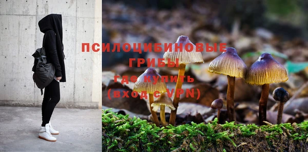 СК Абаза