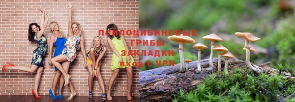 СК Абаза