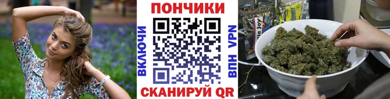 Бошки Шишки SATIVA & INDICA  Южно-Сухокумск 